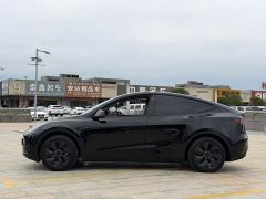 Tesla Model Y Rear-Wheel Drive - ფოტო 7