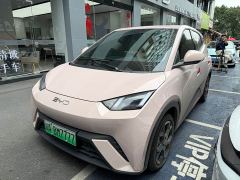 BYD Seagull Glory Edition 405km Flying Edition - ფოტო 1