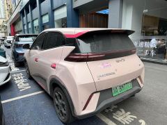 BYD Seagull Glory Edition 405km Flying Edition - ფოტო 8