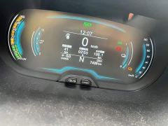 Chery Ant 251km True Love Edition LFP Battery - ფოტო 13