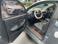 Chery Ant 251km True Love Edition LFP Battery - ფოტო 17