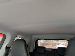 Chery Ant 251km True Love Edition LFP Battery - ფოტო 19