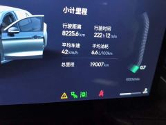 Lynk & Co 03 1.5T DCT Champion Edition Pro - photo 8