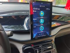 BYD Qin Plus DM-i 55KM Flagship - ფოტო 14