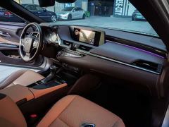 Lexus ES 300h Premium Edition - фото 13