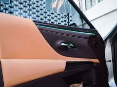 Lexus ES 300h Premium Edition - фото 17