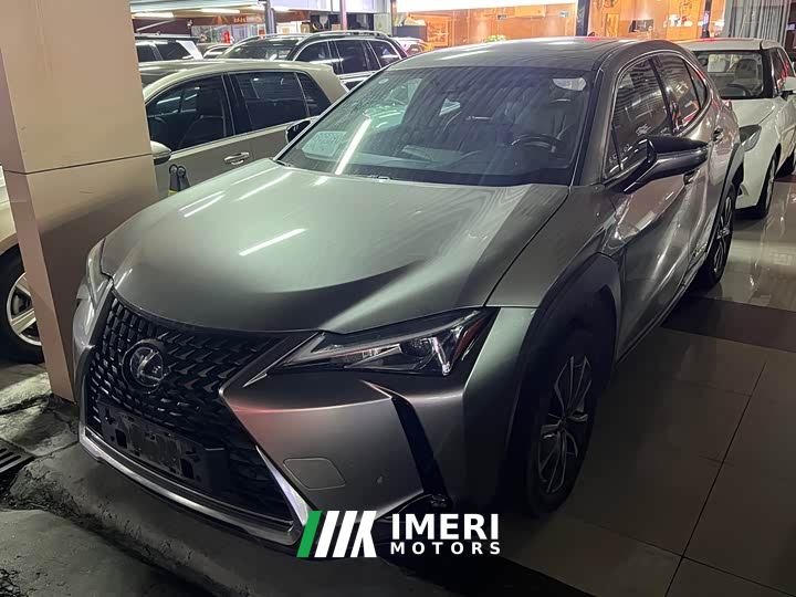 Lexus UX New Energy 300e Pure Joy Edition - car from China