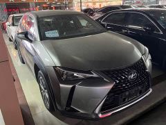Lexus UX New Energy 300e Pure Joy Edition - photo 3