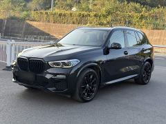 BMW X5 (Imported) Facelift xDrive40i M Sport Package - фото 1