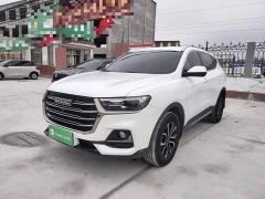 Haval H6 National Trend Edition 1.5T Automatic Urban Version - photo 1