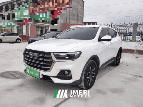 2021 Haval H6 National Trend Edition 1.5T Automatic Urban Version - ავტომობილი ჩინეთიდან