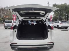 Haval H6 National Trend Edition 1.5T Automatic Urban Version - photo 18