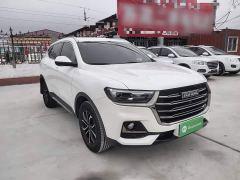 Haval H6 National Trend Edition 1.5T Automatic Urban Version - photo 3