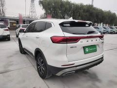 Haval H6 National Trend Edition 1.5T Automatic Urban Version - photo 4