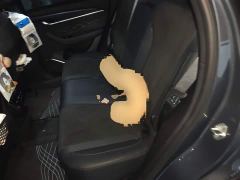 Geely Xingyue L 2.0TD High-Power Automatic FWD Horizon Edition - photo 18
