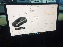Tesla Model Y Standard Range RWD - ფოტო 11