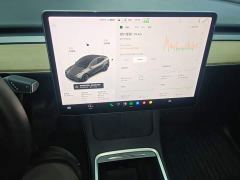 Tesla Model Y Standard Range RWD - ფოტო 12