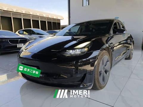 2021 Tesla Model 3 Facelift Standard Range RWD Upgrade 3D1 - автомобиль из Китая