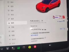 Tesla Model 3 Facelift Standard Range RWD Upgrade - photo 11