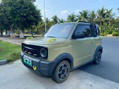 Geely Panda 200km Panda Knight - ფოტო 1