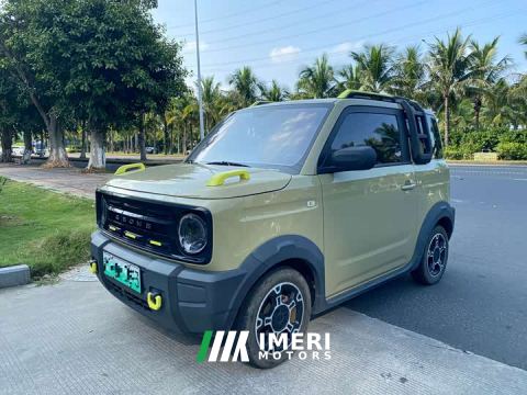 2023 Geely Panda 200km Panda Knight - car from China