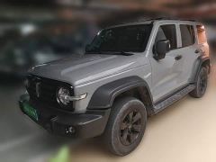 Tank 300 Off-Road Edition 2.0T Conqueror - ფოტო 1