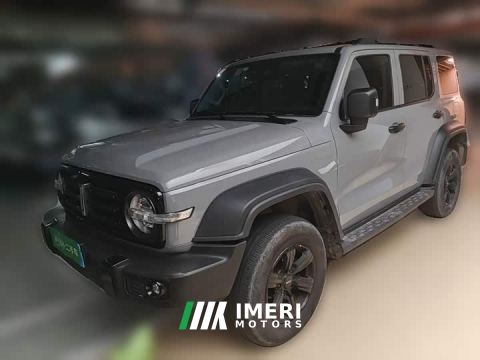 2021 Tank 300 Off-Road Edition 2.0T Conqueror - car from China