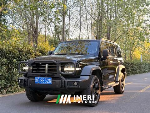 2021 Tank 300 Off-Road Edition 2.0T Conqueror - ავტომობილი ჩინეთიდან