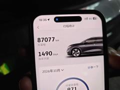 Volkswagen ID.4 X Ultimate Intelligence Long Range Edition - ფოტო 8