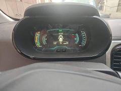 Chery Ant Facelift Sweet Pink Half-Sugar Ternary Lithium 30.6kWh 30kW 301km - photo 13