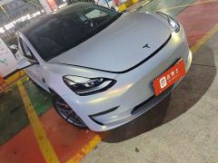 Tesla Model 3 Performance All-Wheel Drive - ფოტო 2