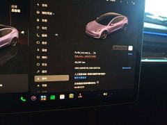 Tesla Model 3 Performance All-Wheel Drive - ფოტო 8