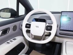Li Auto i6 Two-Wheel Drive Standard - ფოტო 16