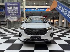 Haval M6 PLUS 1.5T DCT Luxury Smart Connected Edition - ფოტო 2