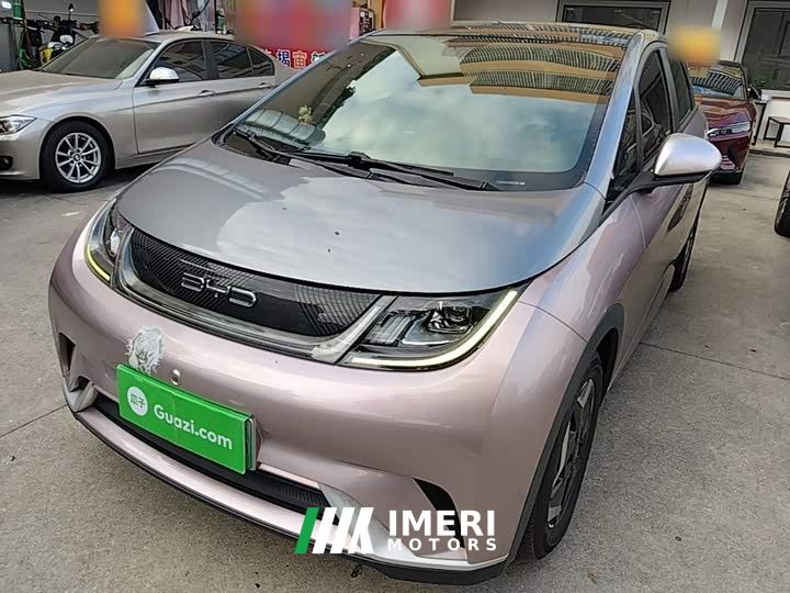 BYD Dolphin 405km Fashion Edition - ავტომობილი ჩინეთიდან