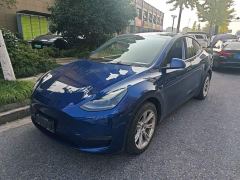Tesla Model Y Long Range All-Wheel Drive - ფოტო 1