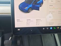 Tesla Model Y Long Range All-Wheel Drive - ფოტო 11