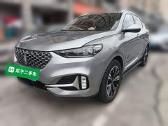 Great Wall WEY VV6 2.0T Two-Wheel Drive Smart Protection - photo 1
