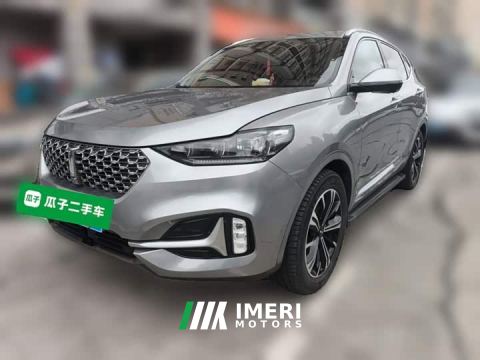 2021 Great Wall WEY VV6 2.0T Two-Wheel Drive Smart Protection - ავტომობილი ჩინეთიდან