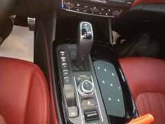 Maserati Levante 3.0T Standard - ფოტო 13