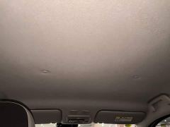 ORA Black Cat 351km Luxury - ფოტო 17