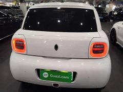 ORA Black Cat 351km Luxury - ფოტო 5
