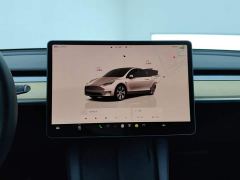 Tesla Model Y Rear-Wheel Drive - ფოტო 13