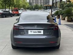 Tesla Model 3 Rear-Wheel Drive - ფოტო 16