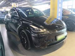 Tesla Model Y Rear-Wheel Drive - ფოტო 3