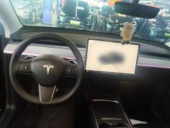 Tesla Model Y Rear-Wheel Drive - ფოტო 9