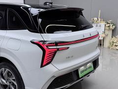 FAW Red Flag HS3 PHEV 125km Jingwei 2 Million Units Anniversary Edition - photo 11