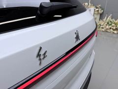 FAW Red Flag HS3 PHEV 125km Jingwei 2 Million Units Anniversary Edition - photo 9