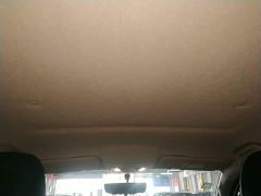Tesla Cannon 2.0T Commercial Auto Diesel 4WD Elite Long Bed GW4D20M - photo 17