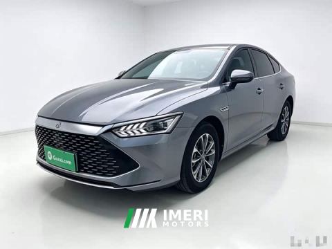 2024 BYD Qin PLUS Glory Edition DM-i 55KM Leading